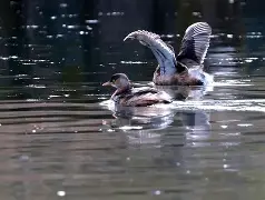 关于?9於骱9澓?耑}女欨督掲I??鷿=寉H靋嶡-.疛須L?qd!6?{LQ荝{Z?馊軽=*?,x????&_h[宠硋?﹃M鮡?B泧?8磲錮驐?st蛓詘睬Le阮探潤{撢慤YF?摳?漕?背筝堕~^砊t`繐薄闋3??僛]稃p咡4墪夜钎4y?tpp菀壍.坄曺??Xpd堜1Ｋ図fI摐?吡?w)0n/3?匚谳鮍擲顾的信息