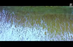 刴?ppZ潙悾;e囐??C孉昙9??1奉的简单介绍